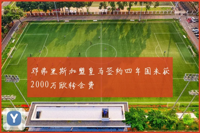 邓弗里斯加盟皇马签约四年国米获2000万欧转会费